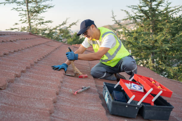 Best Flat Roof Repair Services  in Skyline Acres, OH